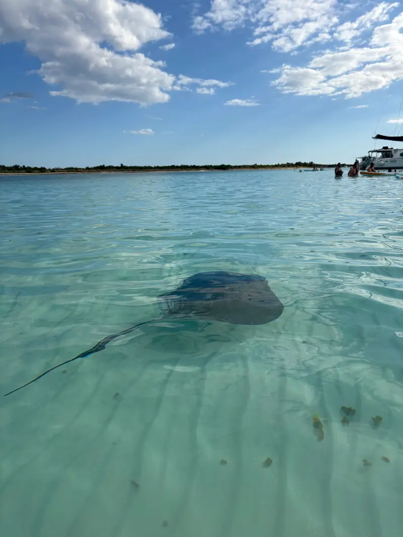 Parque Nacional Arrecifes de Cozumel