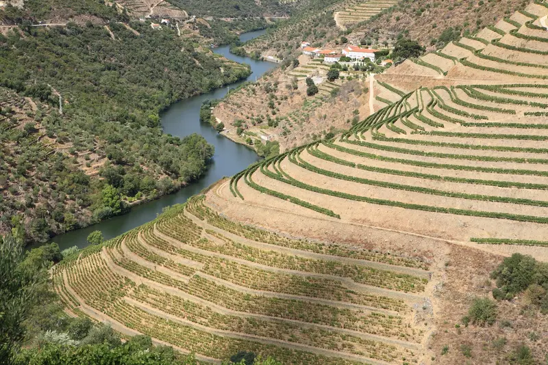 Quinta da Pacheca