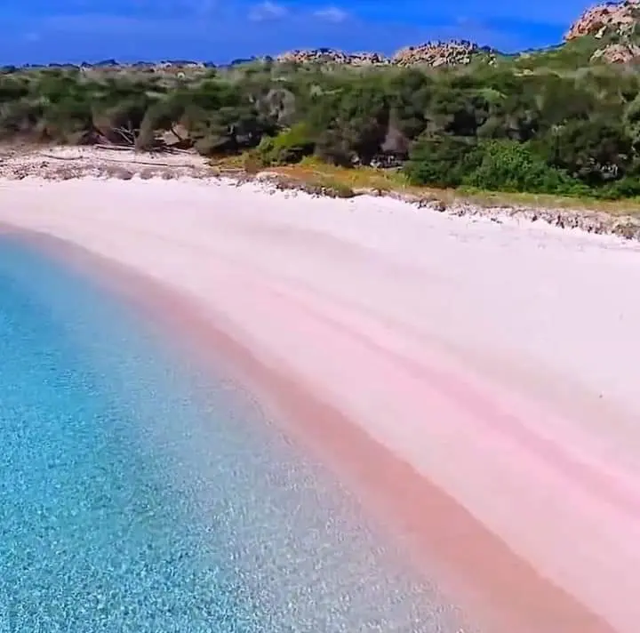 Spiaggia Rosa di Budelli