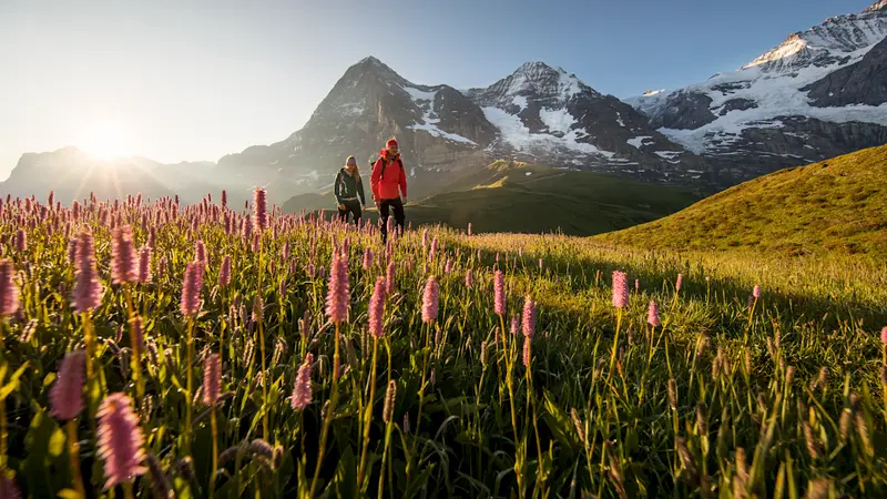 Kleine Scheidegg