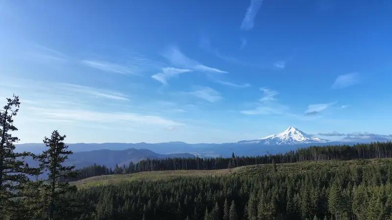 Mount Hood