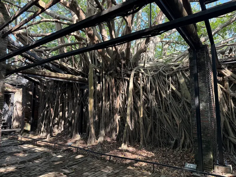 Anping Tree House