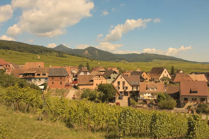 Route des Vins d'Alsace