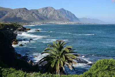 Hermanus