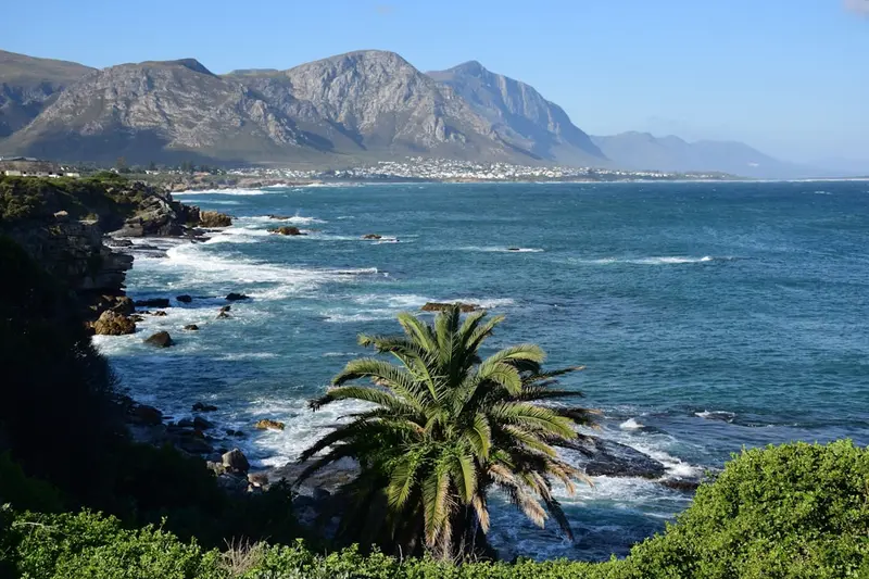 Hermanus
