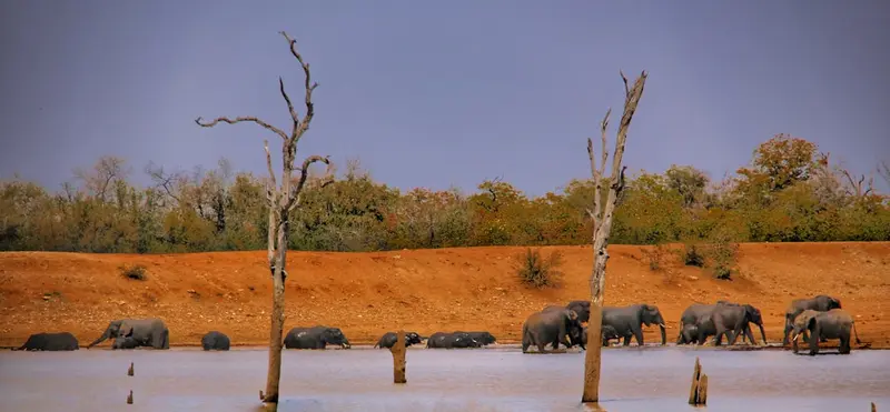 Krüger-Nationalpark