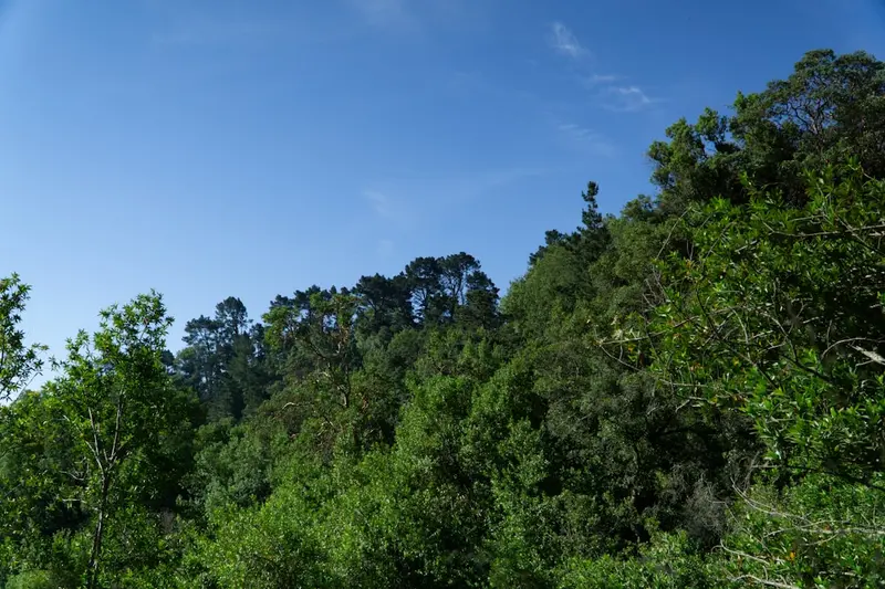 Lapalala Wilderness Reserve
