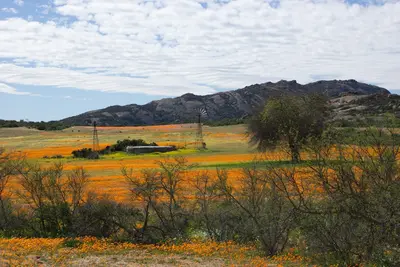 Namaqualand