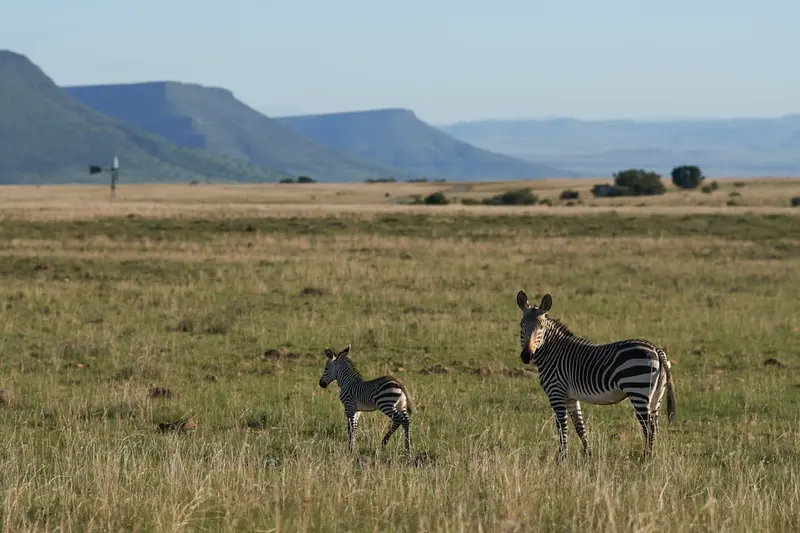 Pilanesberg Nationalpark Safari-Routen