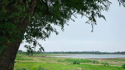 Shamwari Private Game Reserve