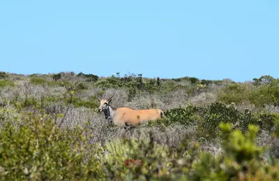 West Coast National Park