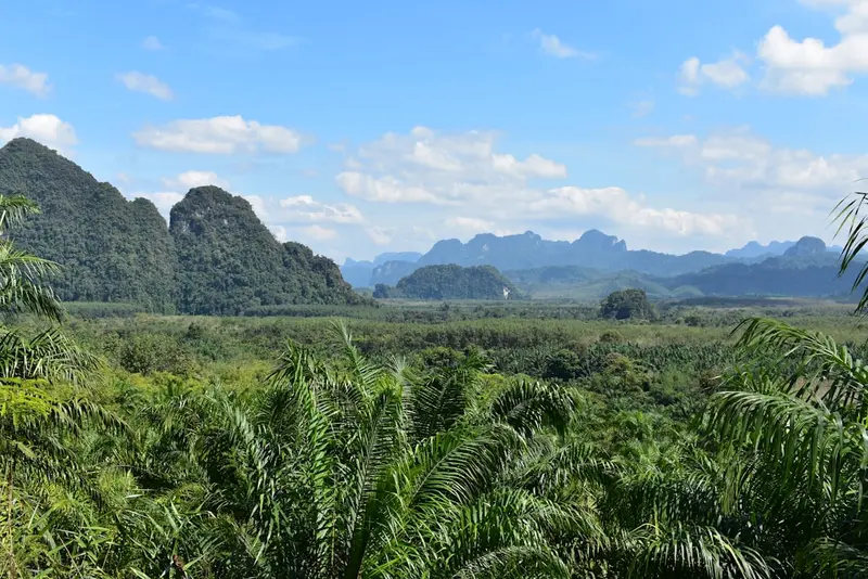 Khao Sok Nationalpark Besucherzentrum (Khao Sok Village Area)