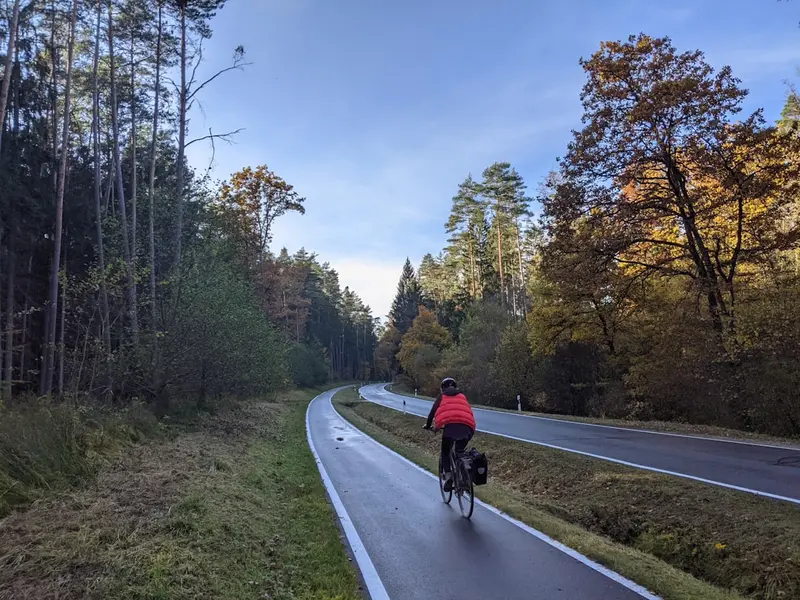 The Cycle Paths and Pine Forests (Pistes Cyclables et Forêts de Pins)
