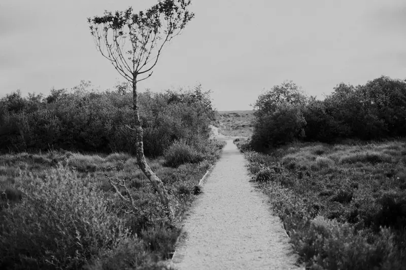 Promenade sur les Quais de Saône