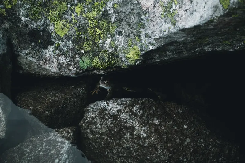 Stevns Klint Experience