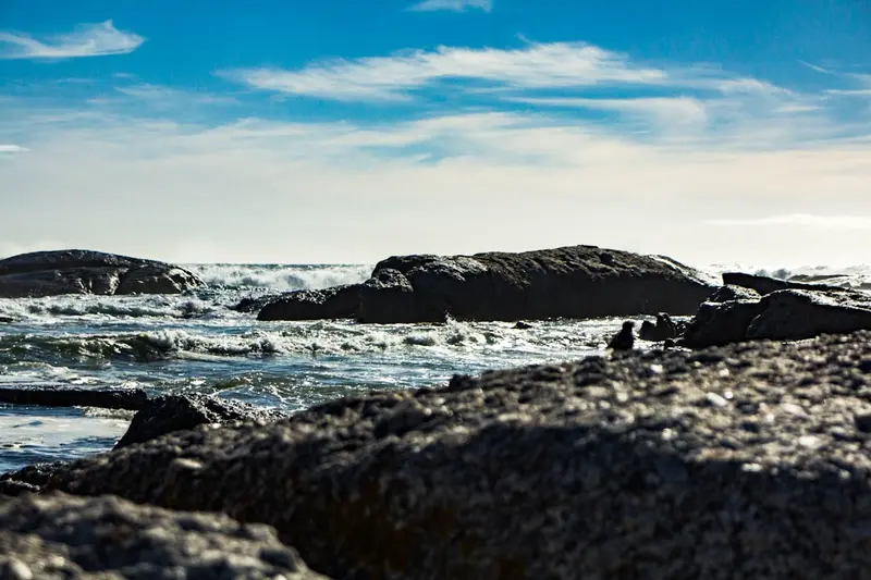 Boulders Beach Penguin Colony