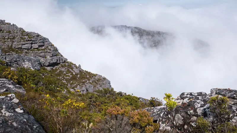Tafelberg