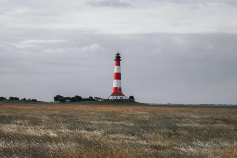 Skagen Grey Tower