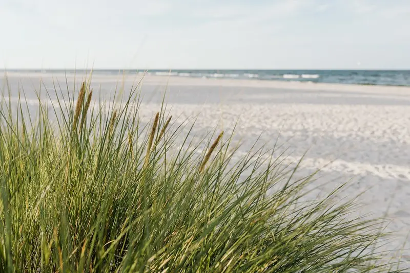 Lakolk Strand