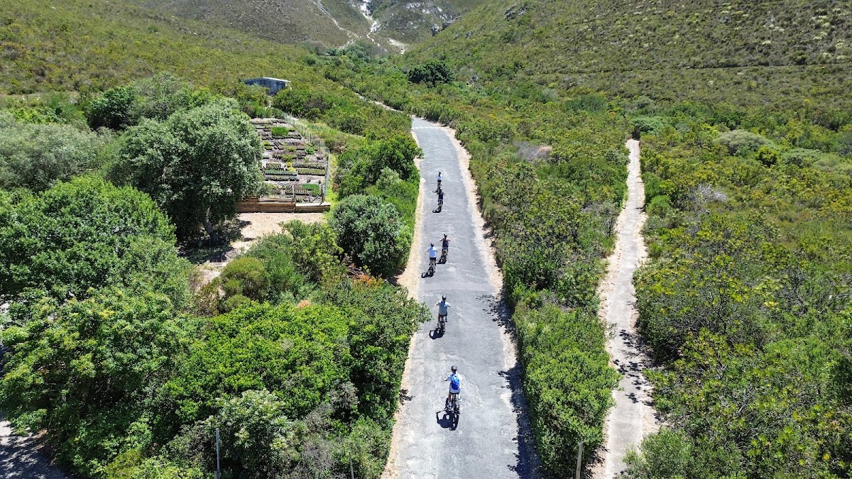 Hermanus E-Bike Tours