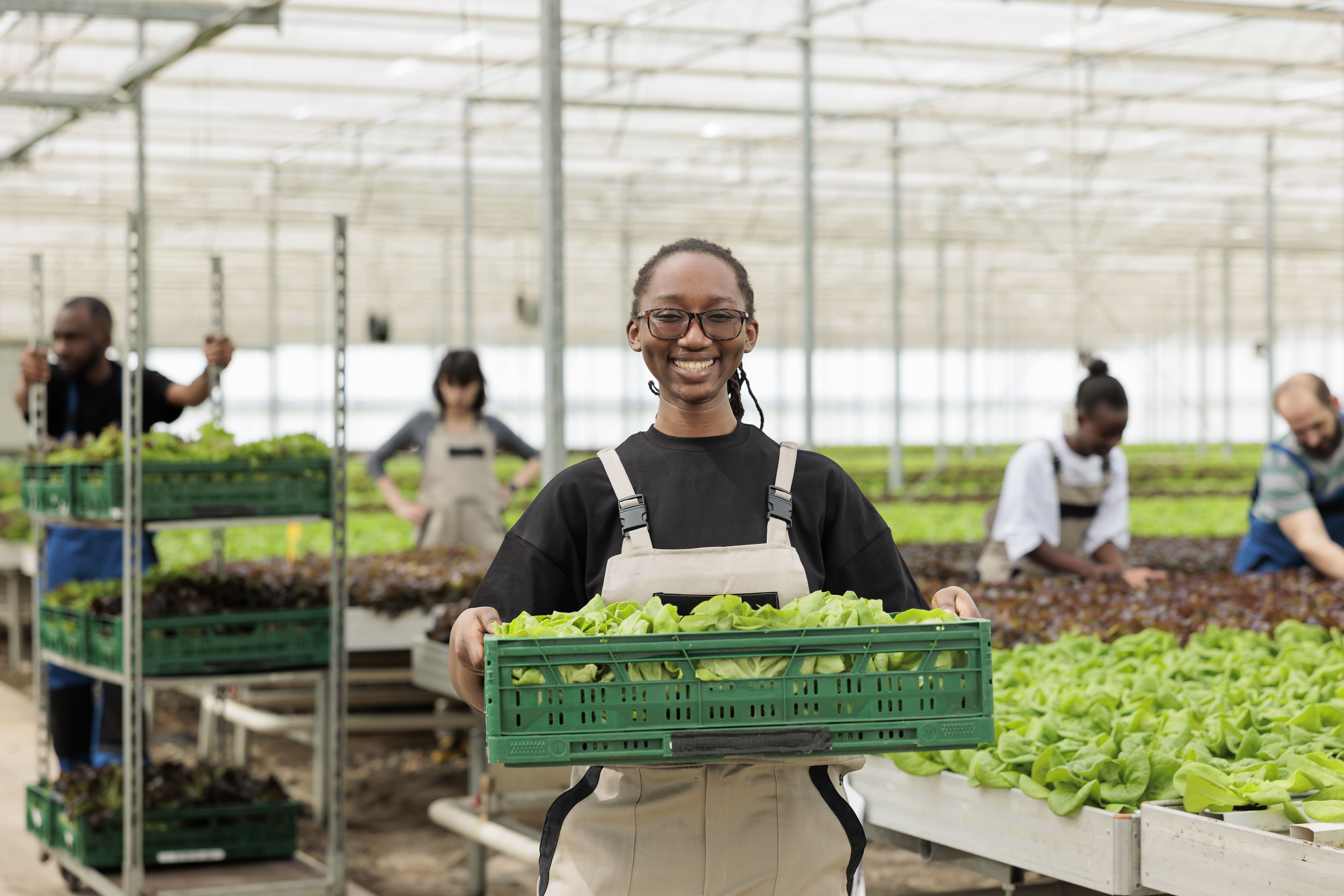 Ogo'o Market - Agriculture Africaine