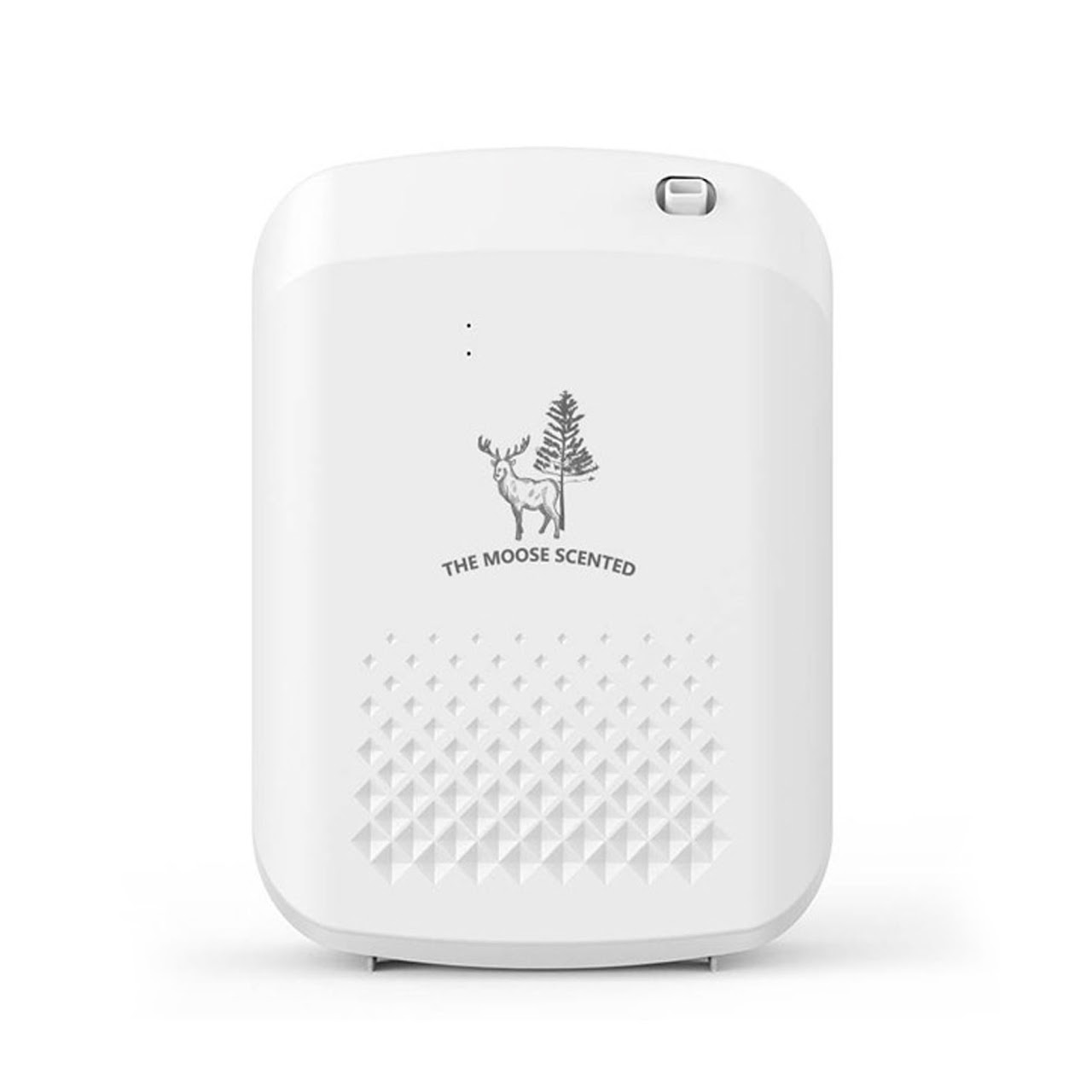 Scent Marketing The Moose Scented