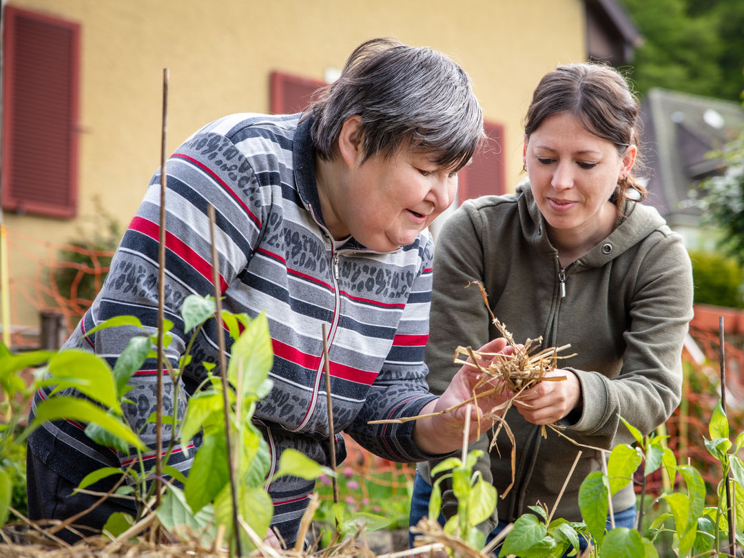 Close-up of a caregiver's hands gently holding the hand of an elderly person.