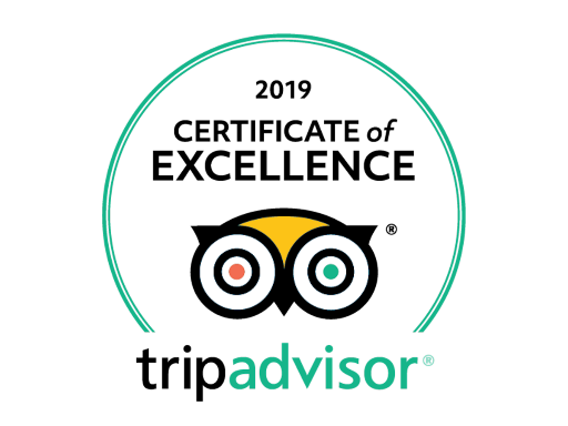 TripAdvisor logo