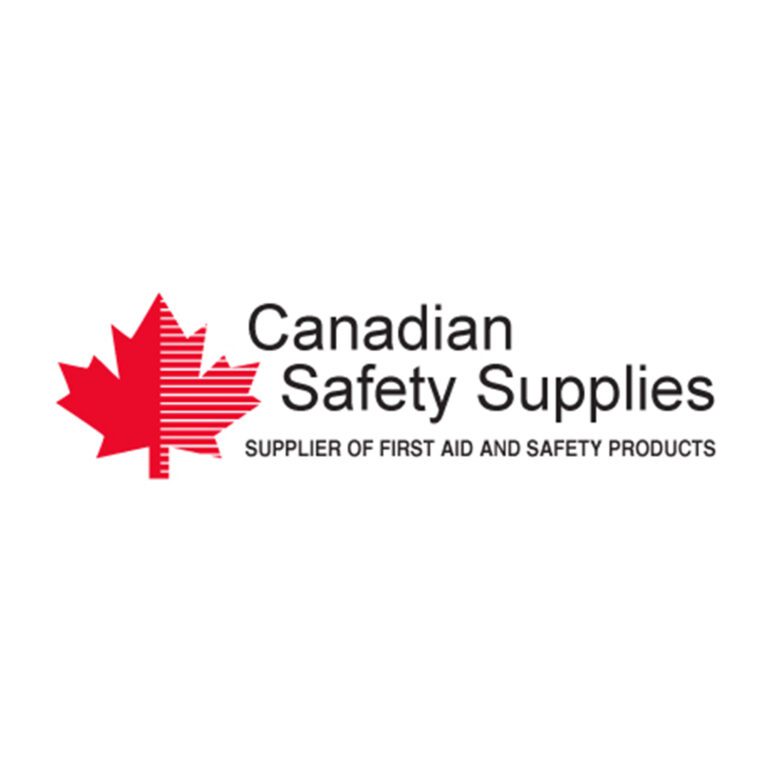 CSS Logo