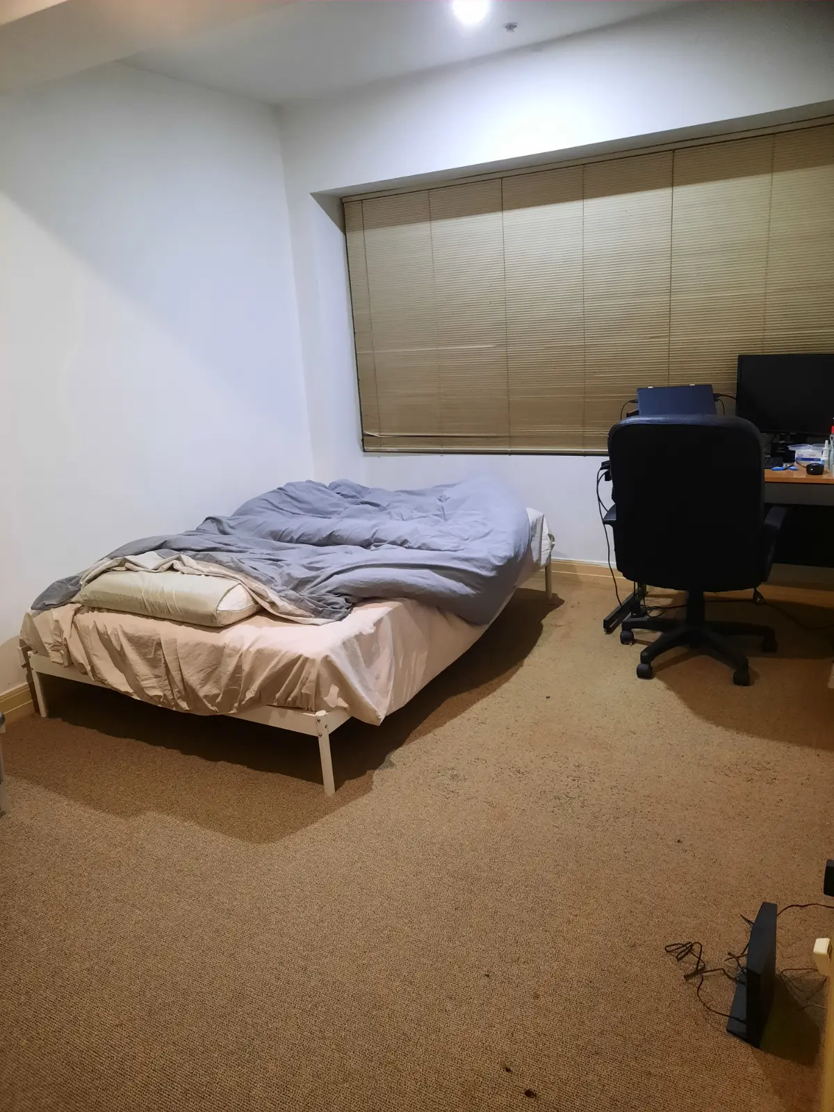 시티 플래그스태프 근처 독방 사실 분 구합니다