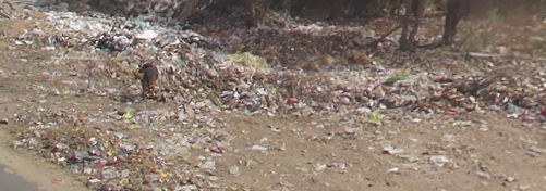 No description provided.