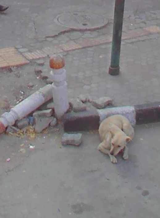 No description provided.