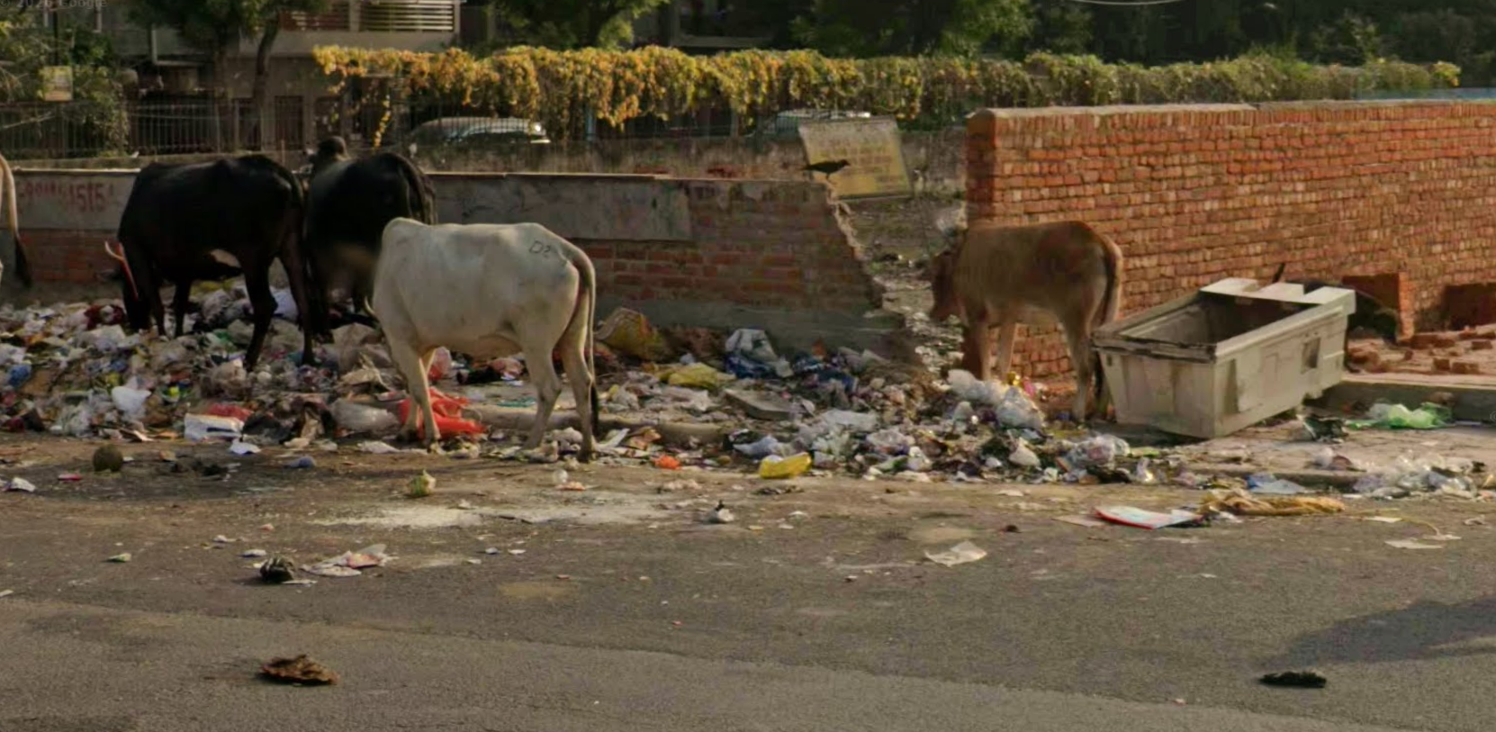 No description provided.