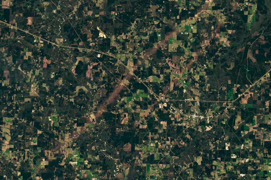 A sleek animation of a question mark evolving into a complex, beautiful geospatial map showing climate data.