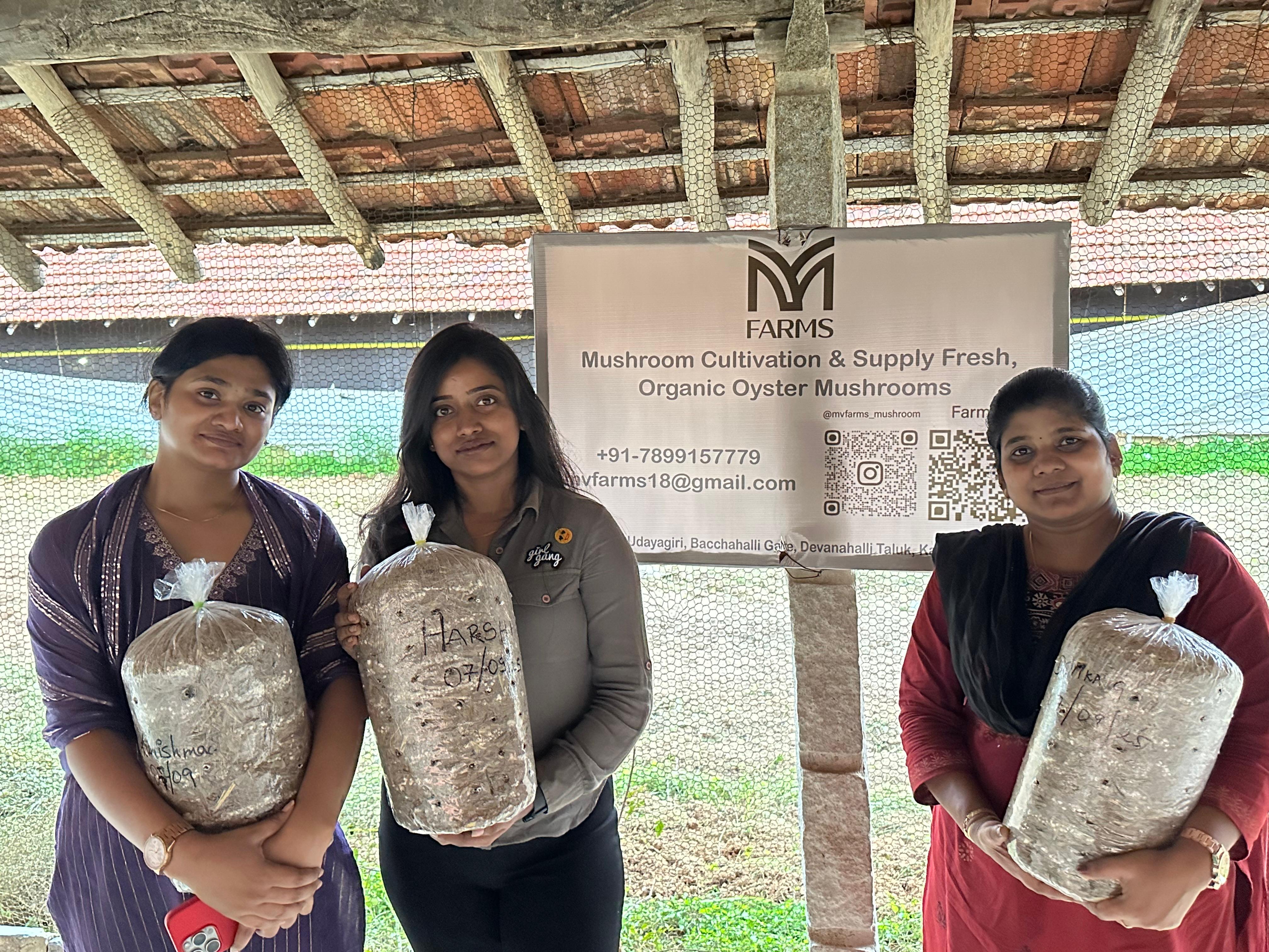 AI-enhanced mushroom cultivation visualization