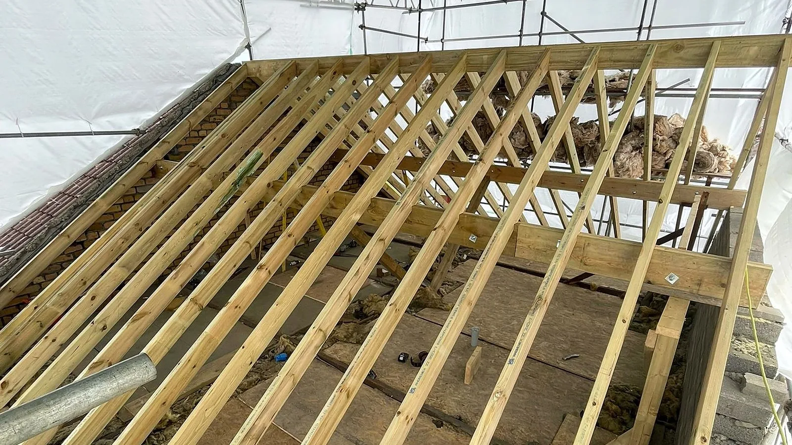 Rafters of a new roof framed under a temporary scaffold roof on our Sherwell Road new build, Brislington