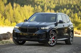Luxury BMW X5 for comfortable transfer between Chișinău and Odesa