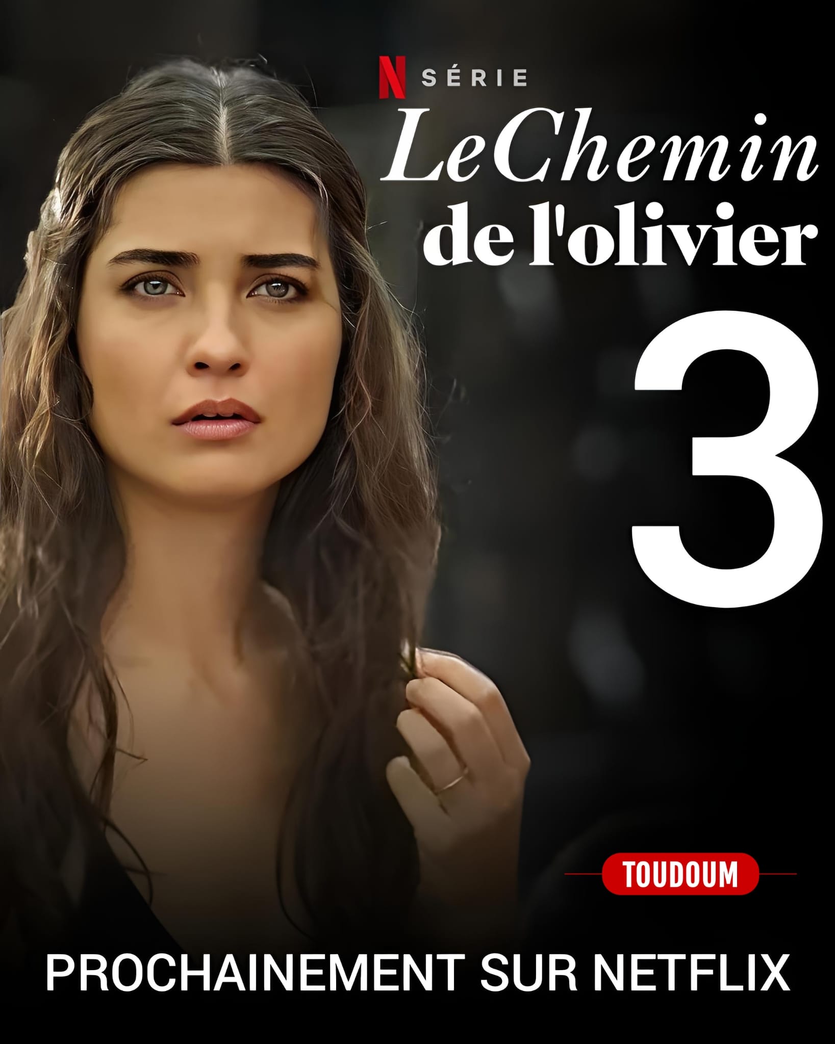 Le chemin de l'olivier saison 3 -1.jpeg