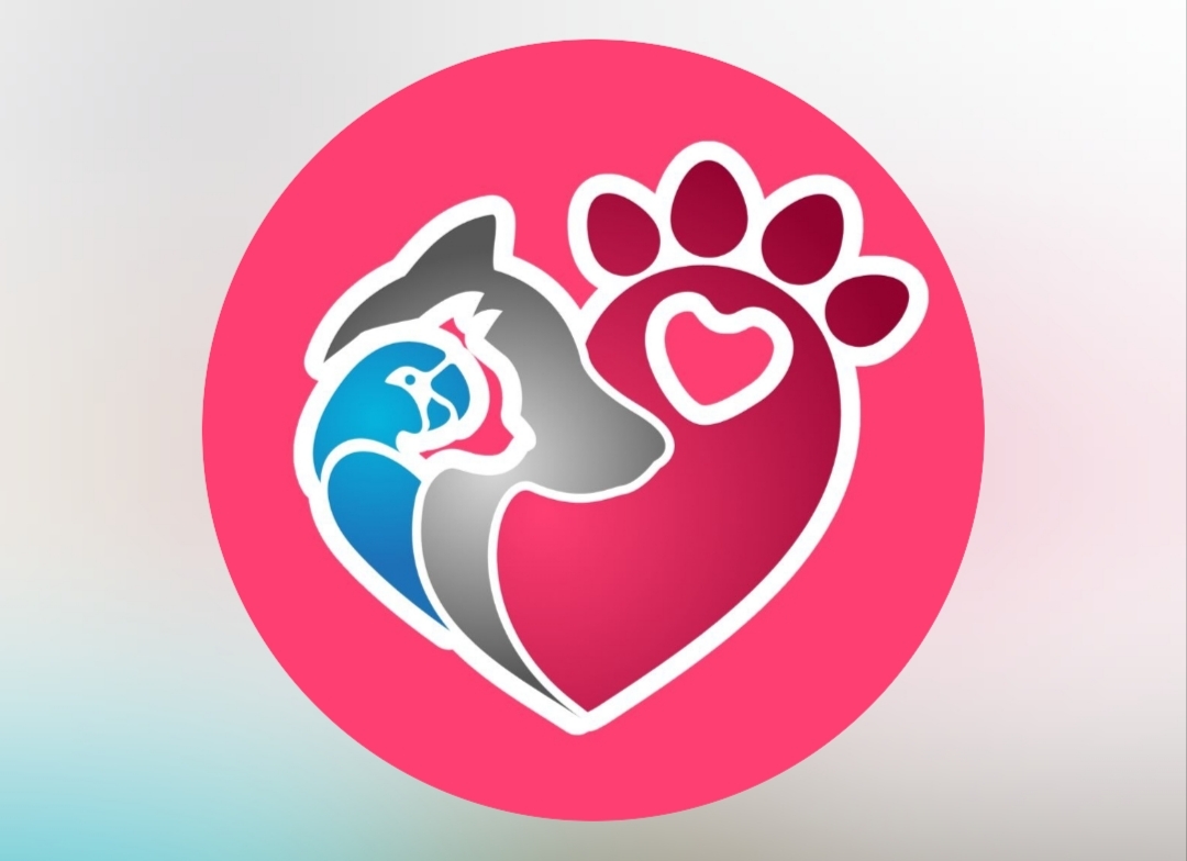 Fundacion Huellas al Corazon