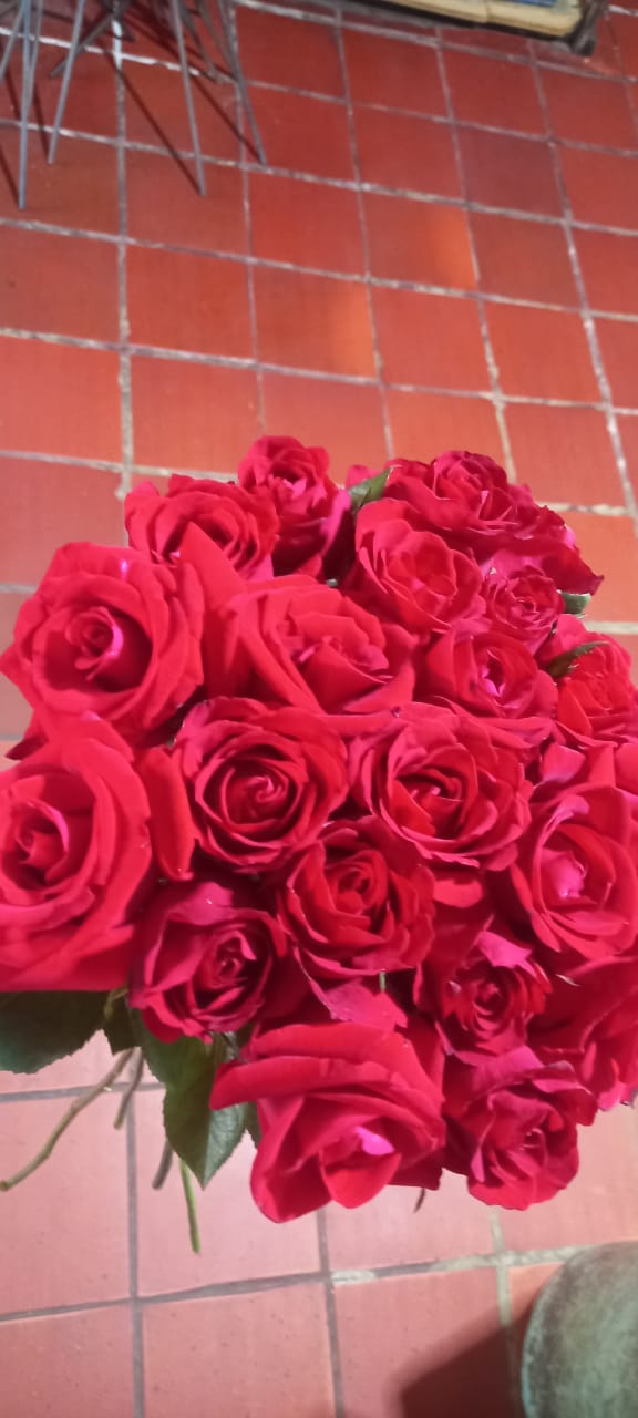 Productos / Servicios