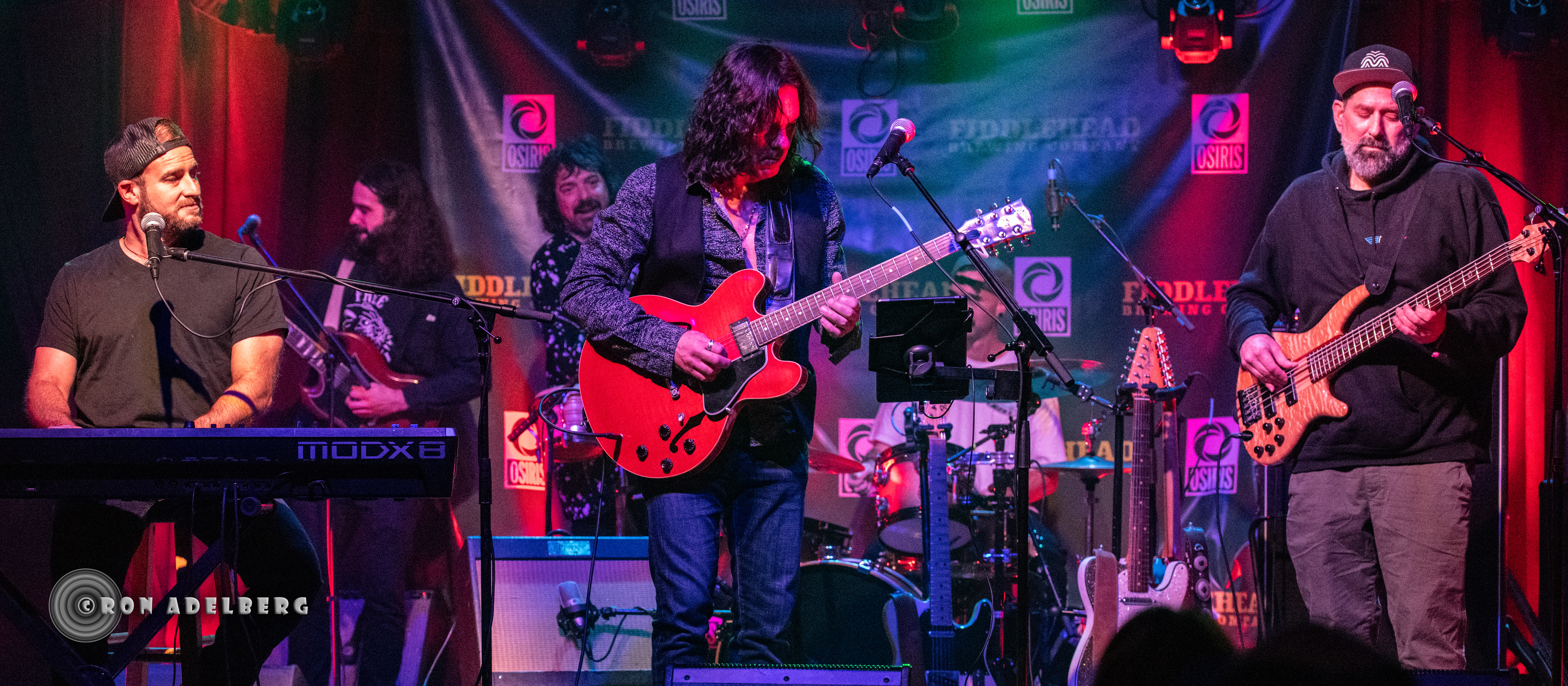 The Anthony Krizan Band in Action