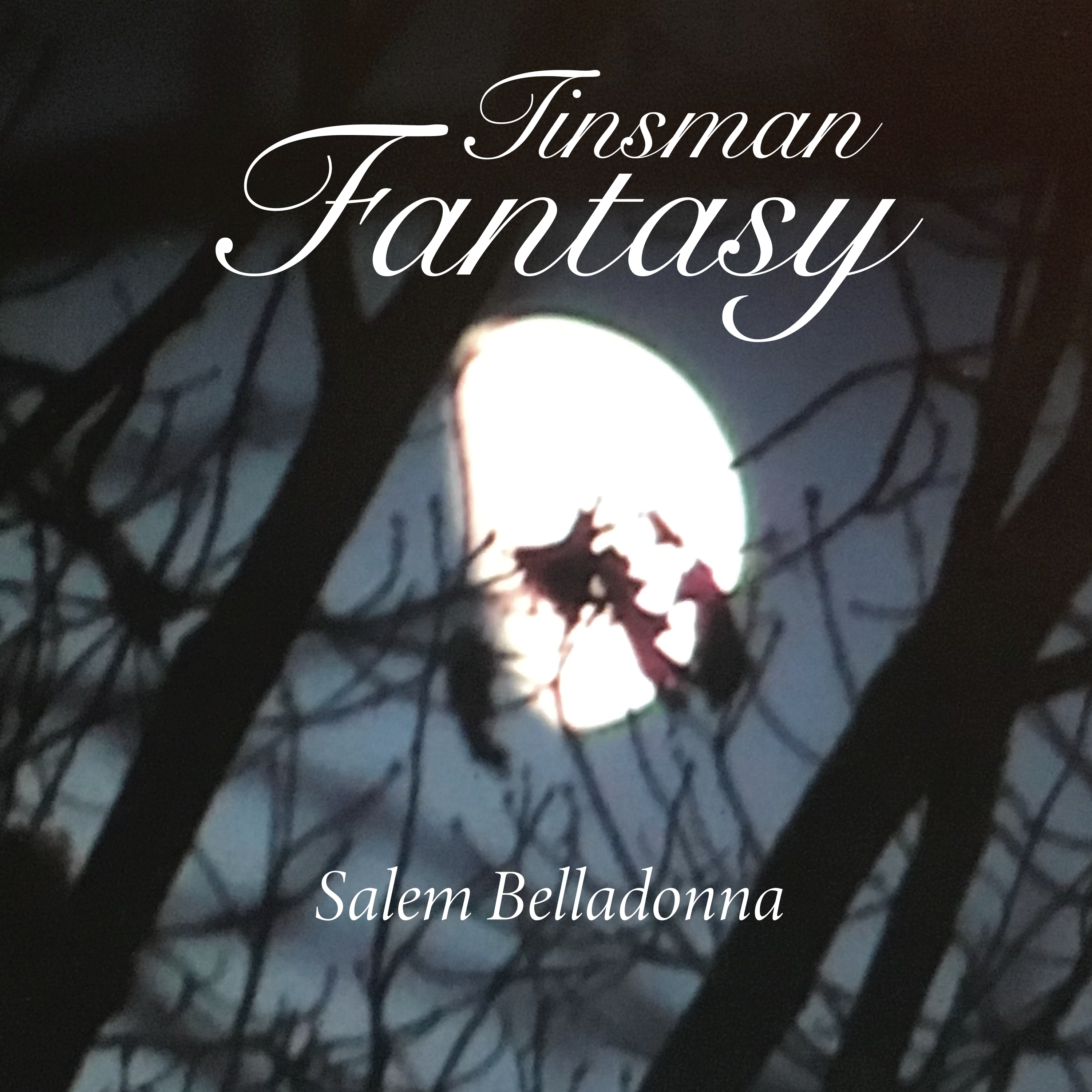 Tinsman Fantasy