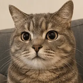 Funny reaction meme
