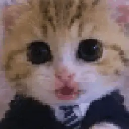 Low quality 360 rotate meow