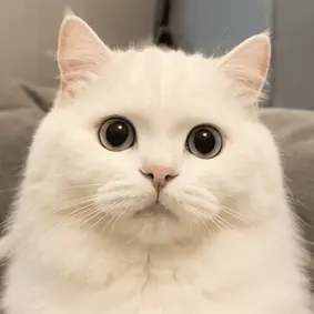 Reaction meme 5