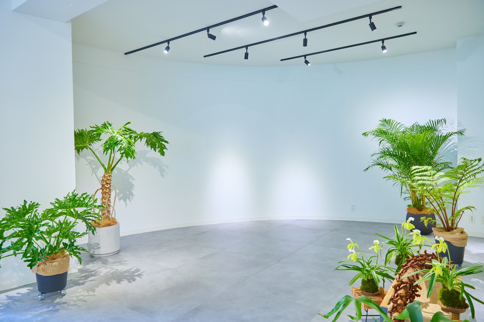 TAO STUDIO aoyama