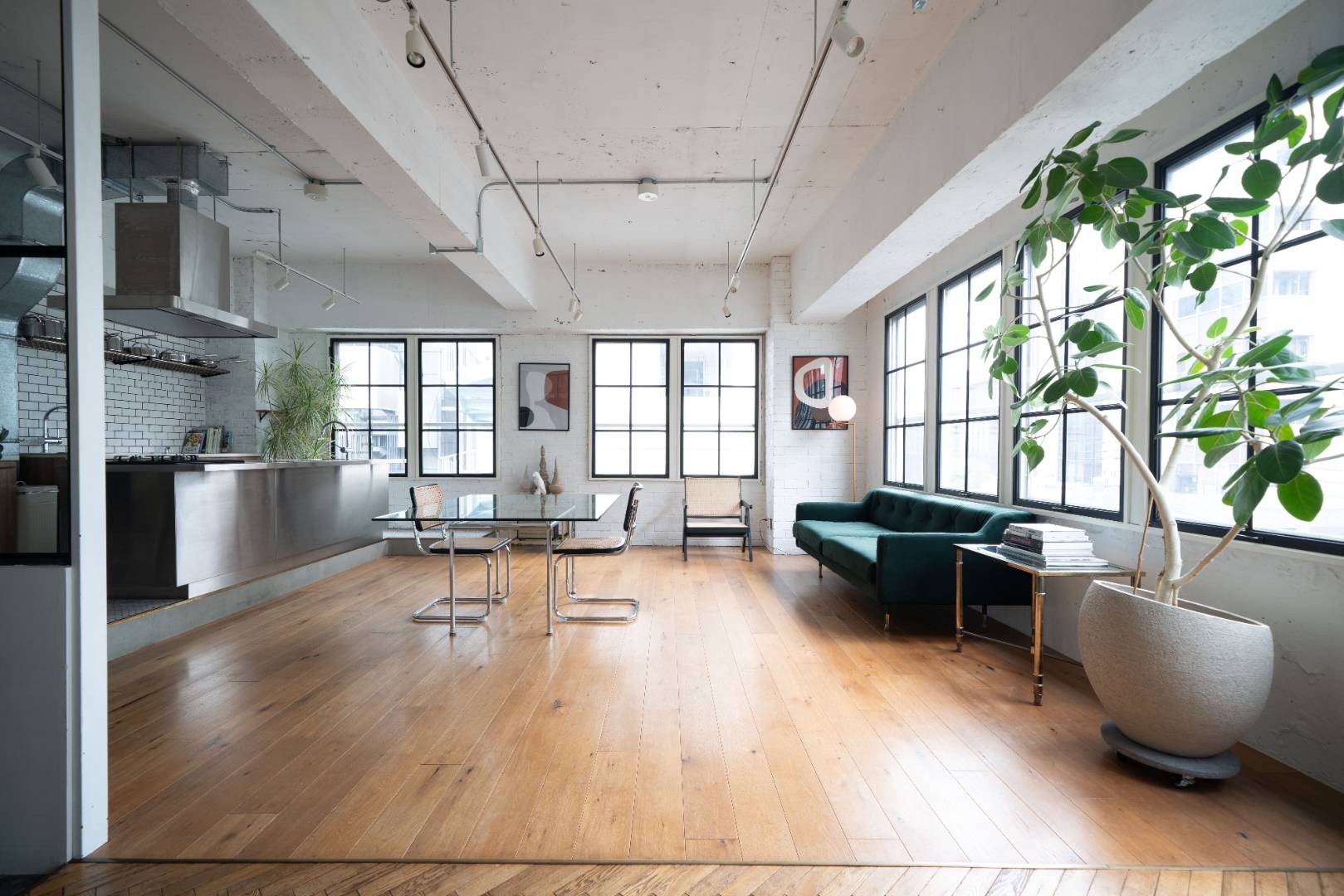 Studio rauque