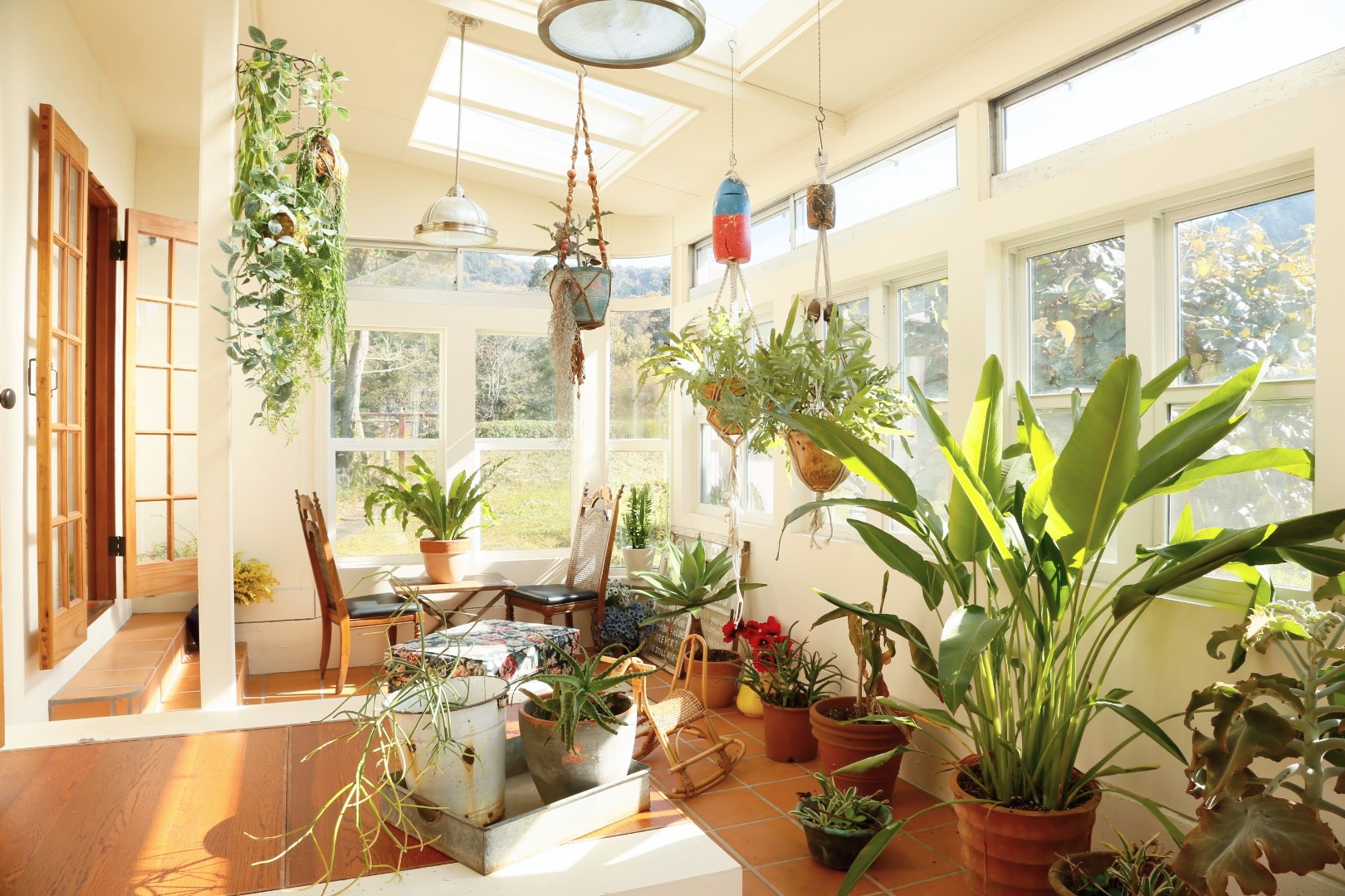studio WANDERLUST