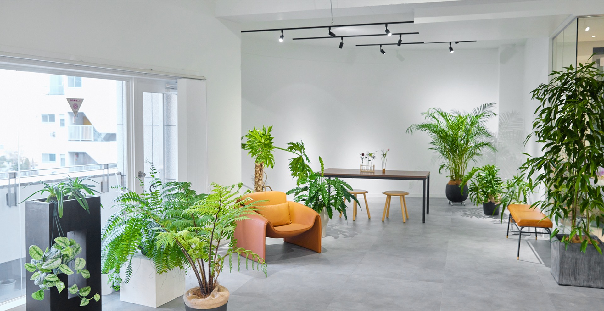 TAO STUDIO aoyama