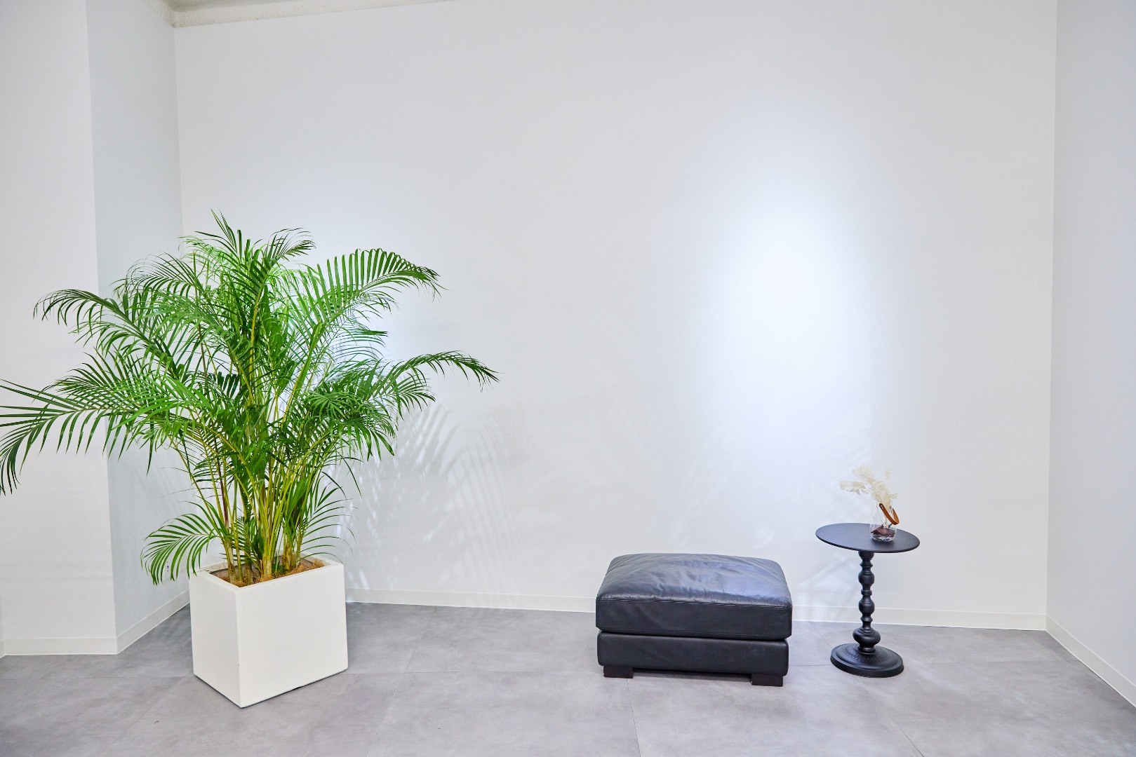 TAO STUDIO aoyama